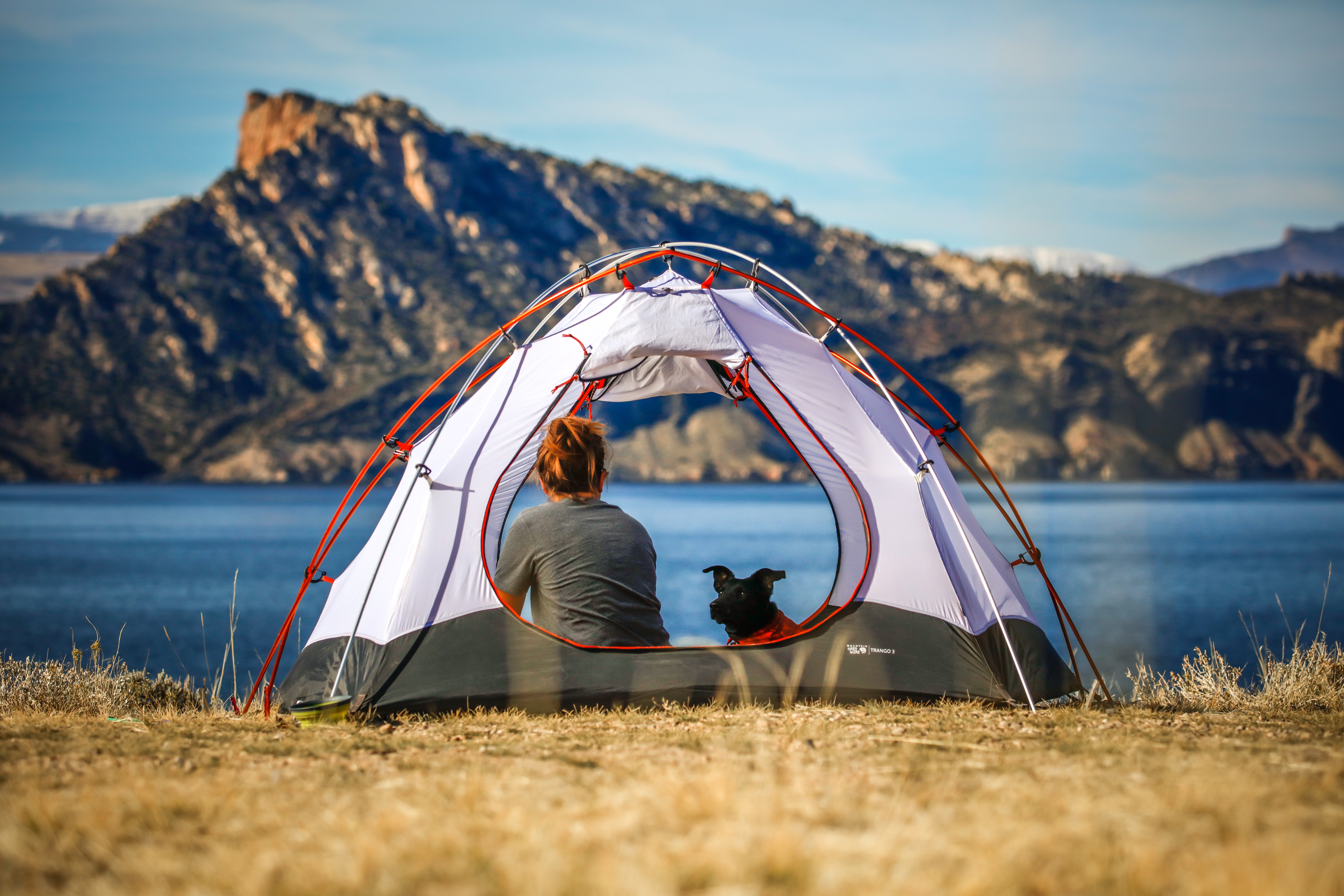 How to Camp with Your Pet - Fairfield Residential